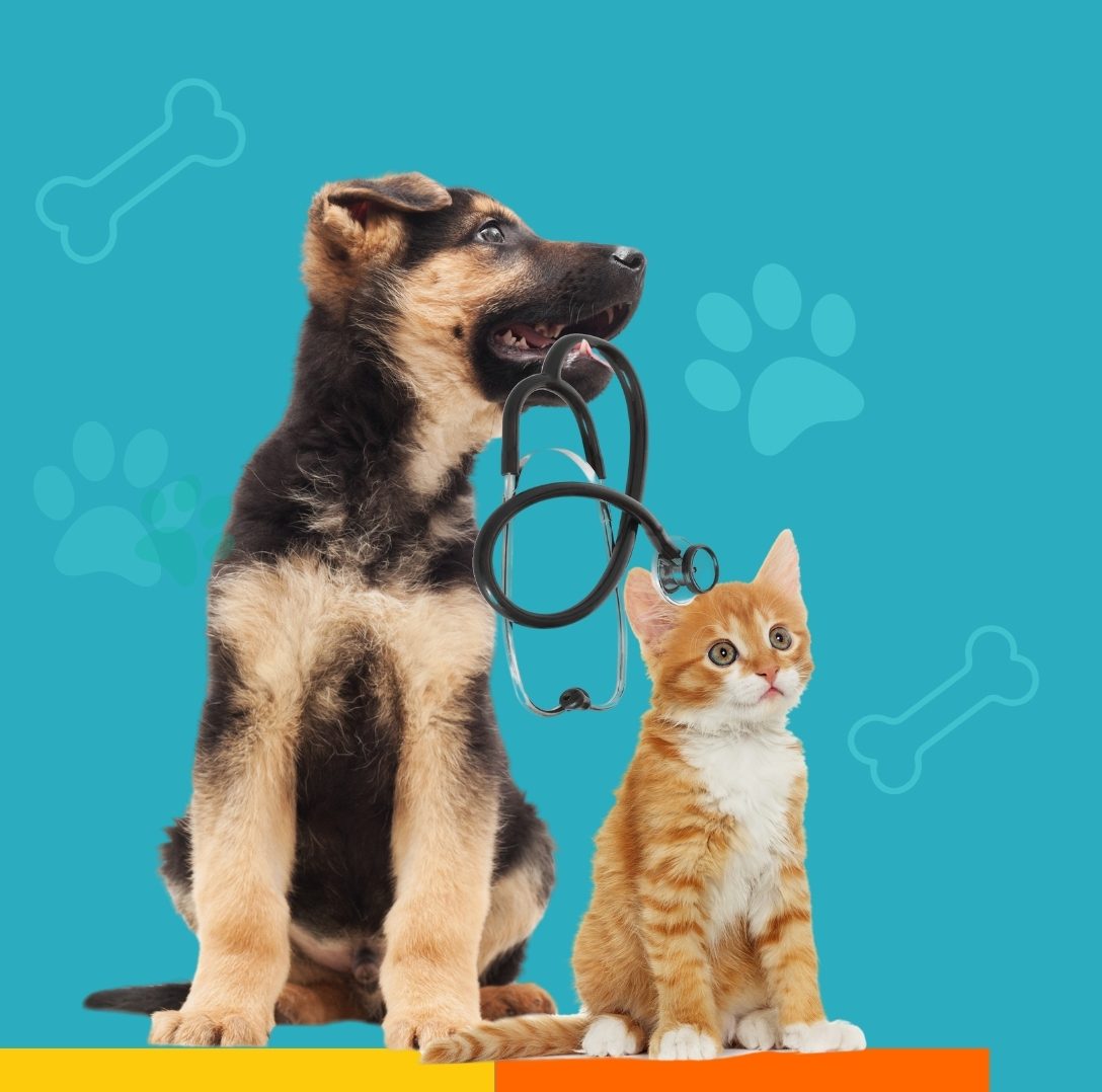 <strong>Veterinaria Municipal </strong>comenzó <strong>toma de horas</strong>