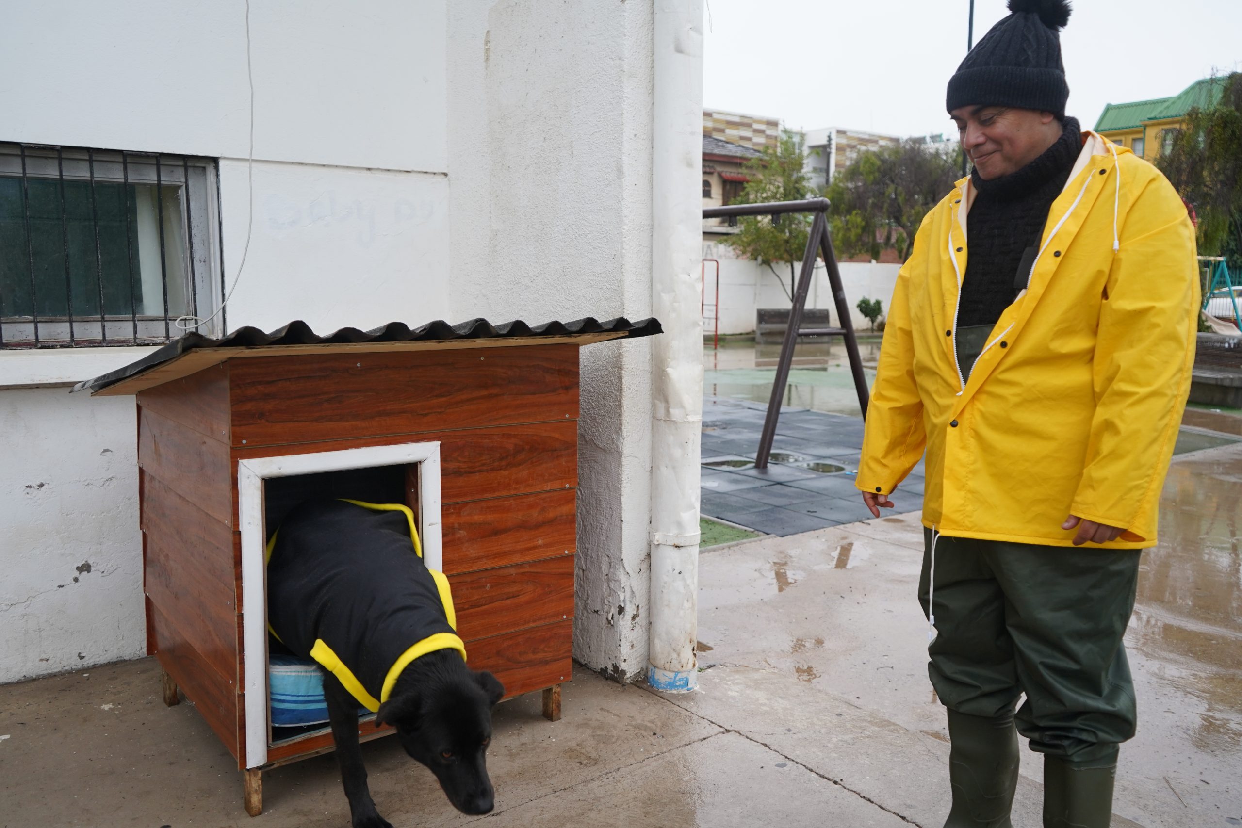 <strong>Casitas para perros comunitarios</strong> en La Ligua